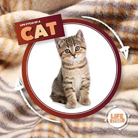 Life Cycle Of A Cat (Life Cycles) - Kirsty Holmes [KSIĄŻKA]