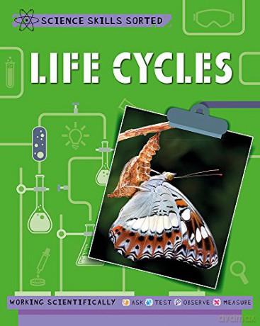 Life Cycles (Science Skills Sorted!) - Anna Claybourne [KSIĄŻKA]