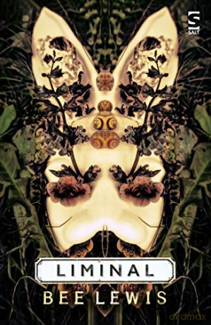Liminal - Bee Lewis [KSIĄŻKA]