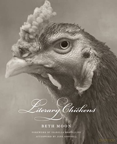 Literary Chickens - Beth Moon [KSIĄŻKA]