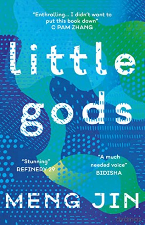 Little Gods - Meng Jin [KSIĄŻKA]