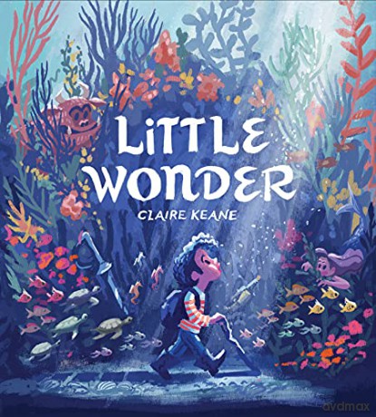 Little Wonder - Claire Keane [KSIĄŻKA]