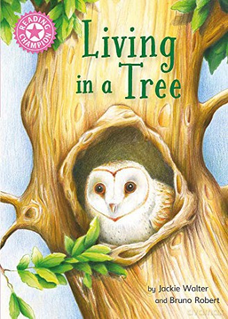 Living in a Tree: Independent Reading Non-Fiction Pink 1a (Reading Champion) - Jackie Walter [KSIĄŻKA]