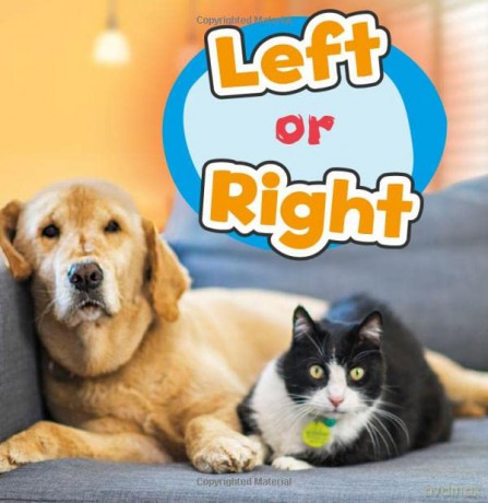 Location Words: Left or Right - Wiley Blevins [KSIĄŻKA]