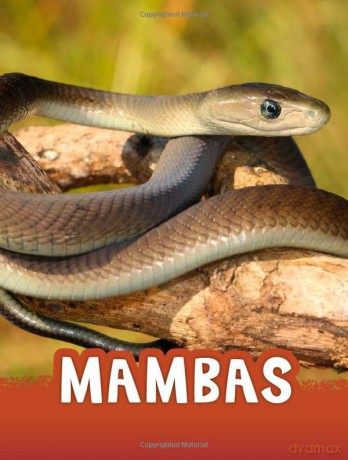 Mambas (Animals) - Jaycox Jaclyn [KSIĄŻKA]
