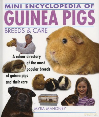 Mini Encyclopedia of Guinea Pigs - Myra Mahoney [KSIĄŻKA]