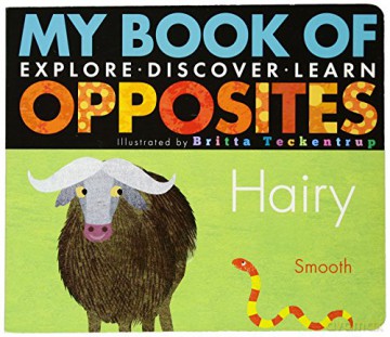 My Book of Opposites - Britta Teckentrup [KSIĄŻKA]