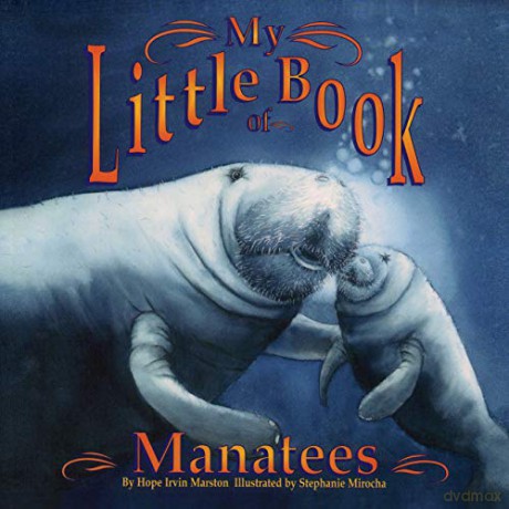 My Little Book of Manatees - Hope Irvin Marston [KSIĄŻKA]
