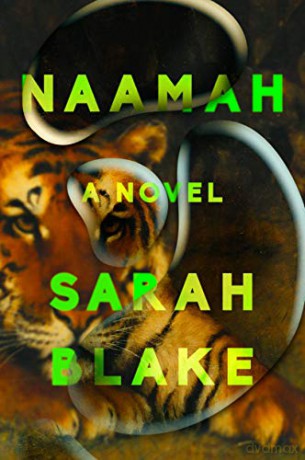Naamah: A Novel - Sarah Blake [KSIĄŻKA]