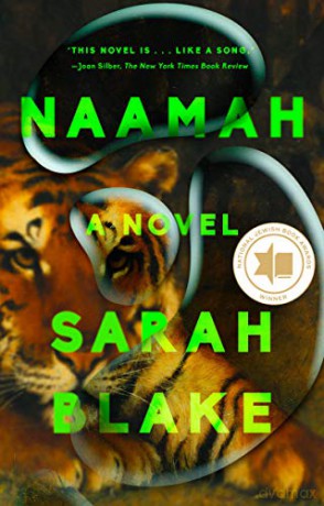 Naamah: A Novel - Sarah Blake [KSIĄŻKA]