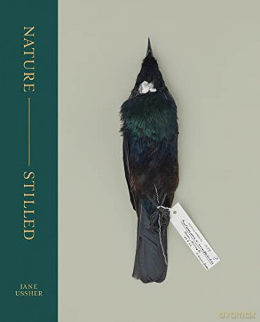 Nature - Stilled - Jane Ussher [KSIĄŻKA]