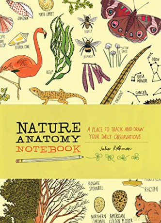Nature Anatomy Notebook: A Place to Track and Draw Your Daily Observations - Julia Rothman [KSIĄŻKA]