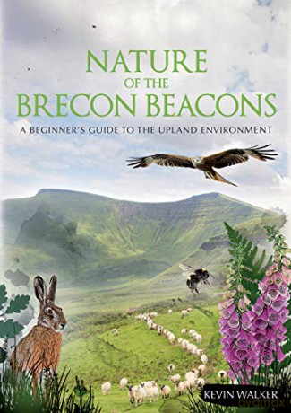 Nature of the Brecon Beacons - A Beginners Guie to the Upland Environment: A Beginners Guide to the Upland Environment - Kevin Walker [KSIĄŻKA]