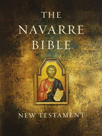 NAVARRE BIBLE NEW TESTAMENT [KSIĄŻKA]
