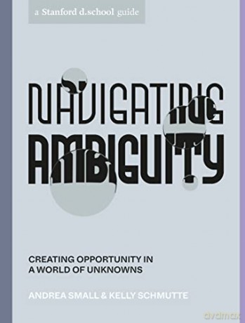 Navigating Ambiguity: Creating Opportunity in a World of Unknowns (Stanford d.school Library) - Andrea Small [KSIĄŻKA]