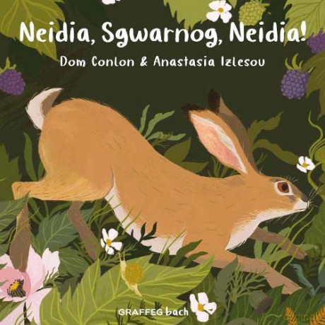 Neidia, Sgwarnog, Neidia! - Conlon,Dom [KSIĄŻKA]