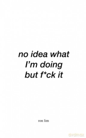 No idea what I'm doing but f*ck it - Ron Lim [KSIĄŻKA]