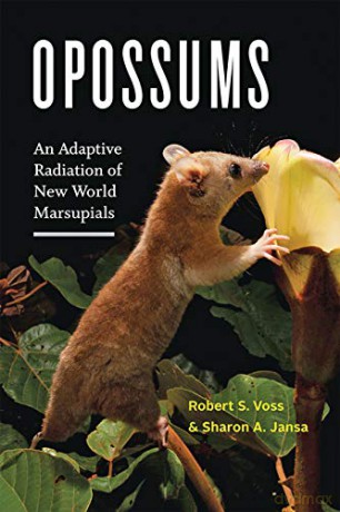 Opossums: An Adaptive Radiation of New World Marsupials - Robert S Voss [KSIĄŻKA]