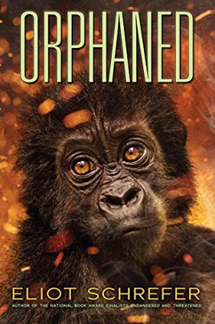 Orphaned: Volume 4 (Ape Quartet) - Eliot Schrefer [KSIĄŻKA]