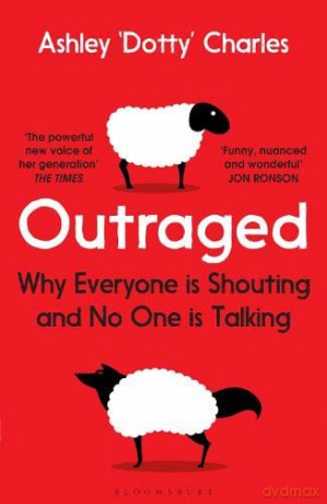 Outraged: Why Everyone is Shouting and No One is Talking - Ashley Charles [KSIĄŻKA]