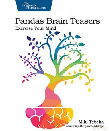Pandas Brain Teasers: Exercise Your Mind - Miki Tebeka [KSIĄŻKA]
