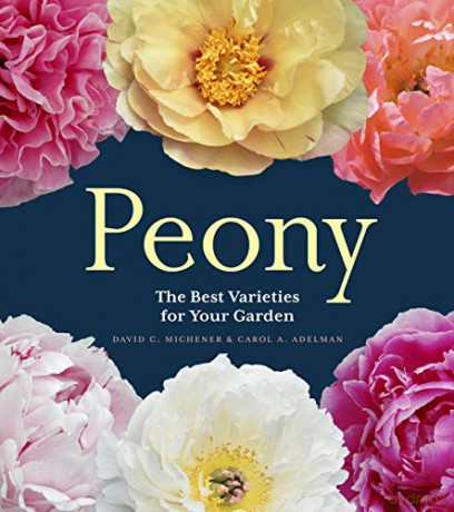 Peony: The Best Varieties for Your Garden - David C Michener [KSIĄŻKA]