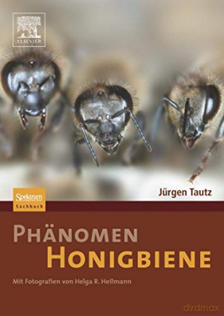 Phänomen Honigbiene - Tautz [KSIĄŻKA]