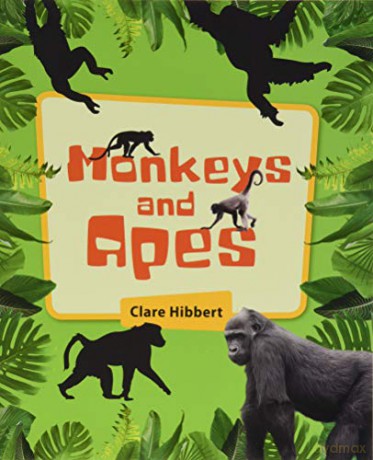 Reading Planet KS2 - Monkeys and Apes - Level 4: Earth/Grey band (Rising Stars Reading Planet) - Clare Hibbert [KSIĄŻKA]
