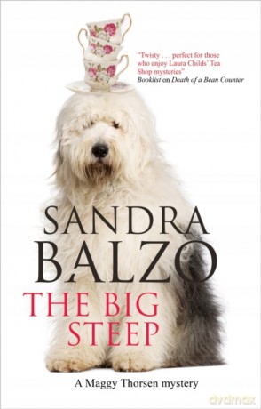 The Big Steep: 14 (A Maggy Thorsen Mystery) - Sandra Balzo [KSIĄŻKA]