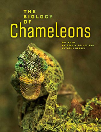 The Biology of Chameleons - Krystal A.(E Tolley [KSIĄŻKA]
