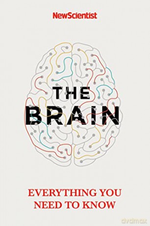 The Brain: Everything You Need to Know - New Scientist [KSIĄŻKA]