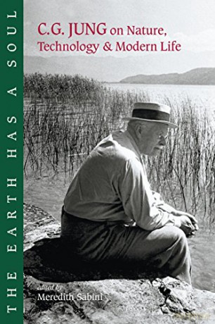 The Earth Has a Soul: C.G.Jung's Writings on Nature, Technology and Modern Life: C.G. Jung on Nature, Technology and Modern Life - Jung C. G. [KSIĄŻKA]