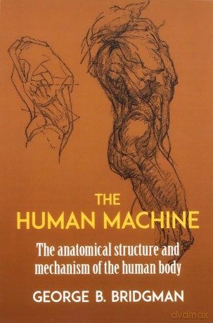 The Human Machine (Dover Anatomy for Artists) - George B. Bridgman [KSIĄŻKA]