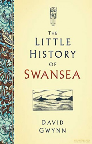The Little History of Swansea - David Gwynn [KSIĄŻKA]