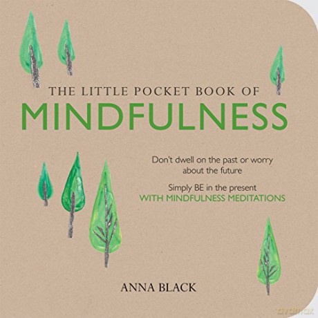 The Little Pocket Book of Mindfulness: Don't dwell on the past or worry about the future, simply BE in the present with mindfulness meditations - Anna Black [KSIĄŻKA]