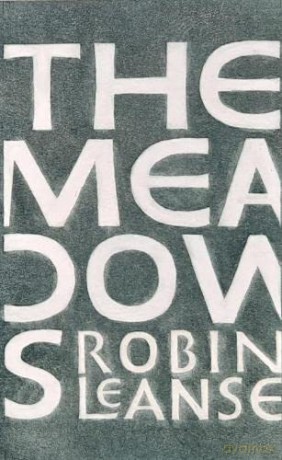 The Meadows: Robin Leanse [KSIĄŻKA]