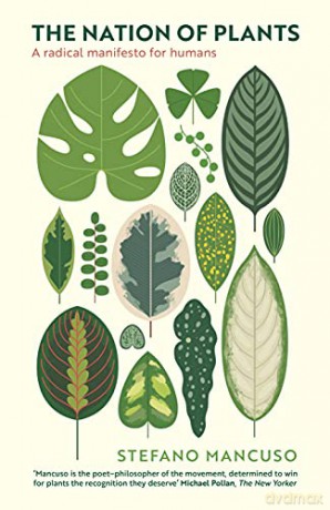The Nation of Plants: The International Bestseller - Stefano Mancuso [KSIĄŻKA]