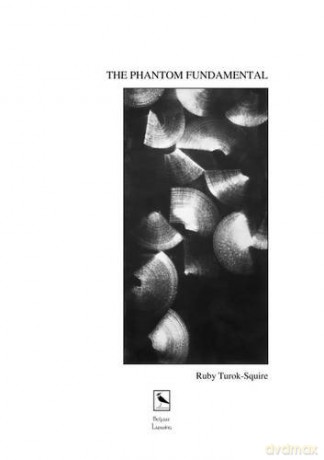 THE Phantom Fundamental [KSIĄŻKA]