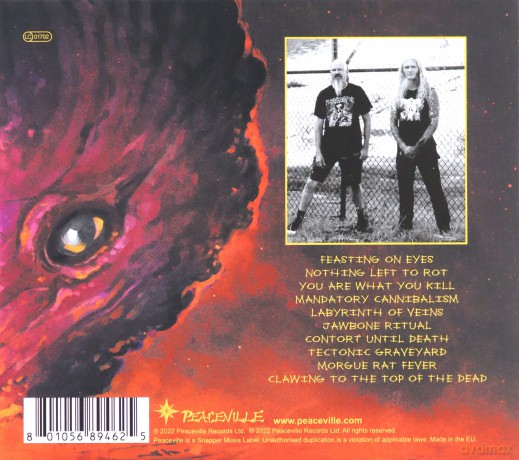 Static Abyss: Labyrinth Of Veins [CD]