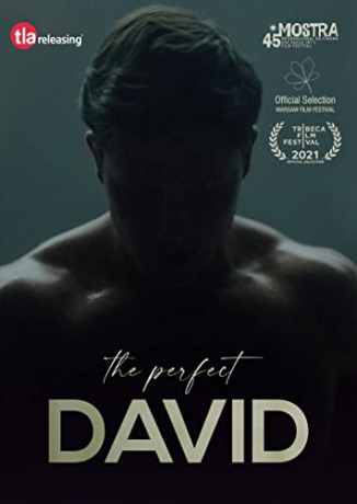 The Perfect David (Doskonały Dawid) [DVD]