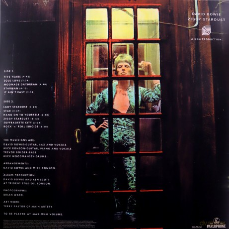 David Bowie: The Rise And Fall Of Ziggy Stardust [Winyl]