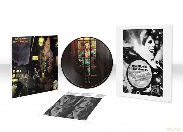 David Bowie: The Rise And Fall Of Ziggy Stardust (Picture) [Winyl]