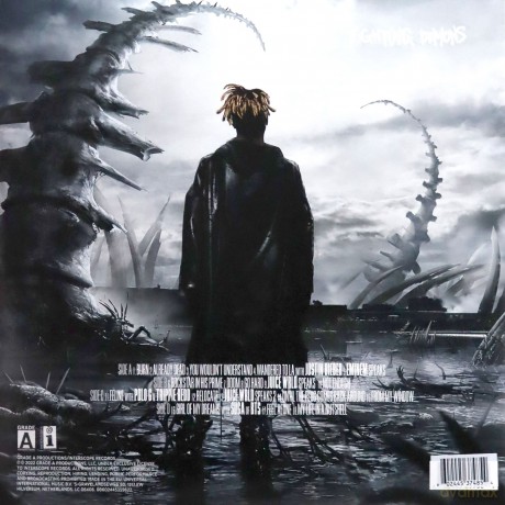 Juice Wrld: Fighting Demons (Limited) [2xWinyl]