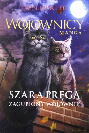 Szara Pręga. Wojownicy - Zagubiony wojownik, Schronienie wojownika, Powrót wojownika (Tom 5-7) - Erin Hunter [KSIĄŻKA]