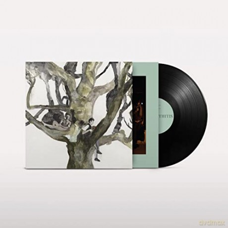 Destroyer: Labyrinthitis [Winyl]