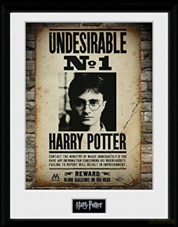 HARRY POTTER - Plakat w ramie Undesirable No 1
