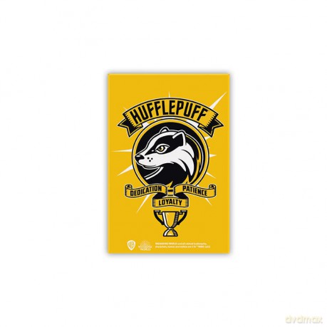 HARRY POTTER - Magnes - POP Color - Hufflepuff