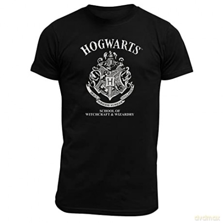 HARRY POTTER - T-shirt Hogwarts man SS black - basic