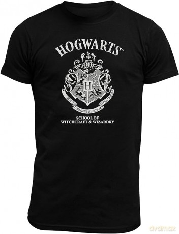 HARRY POTTER - T-shirt Hogwarts man SS black - basic