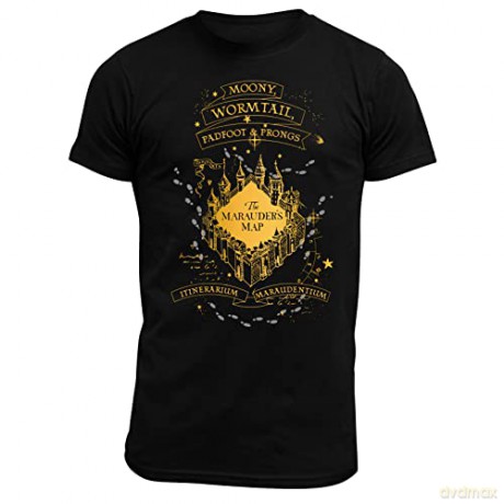 HARRY POTTER - T-shirt The Marauders man SS black - basic